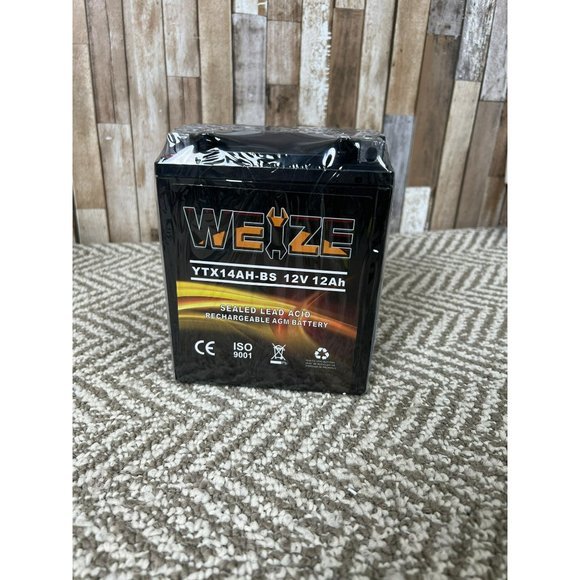 AGM Maintenance Free Battery - Picture 1 of 6